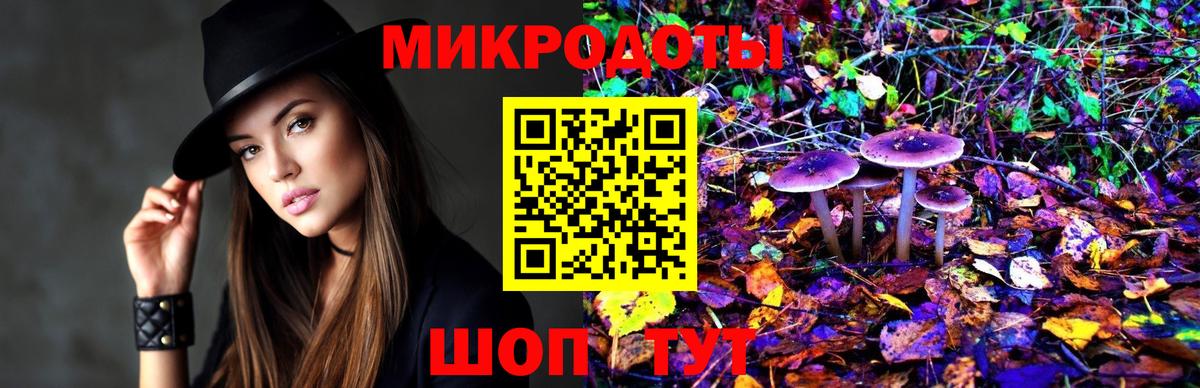 Галлюциногенные грибы Psilocybine cubensis Буйнакск