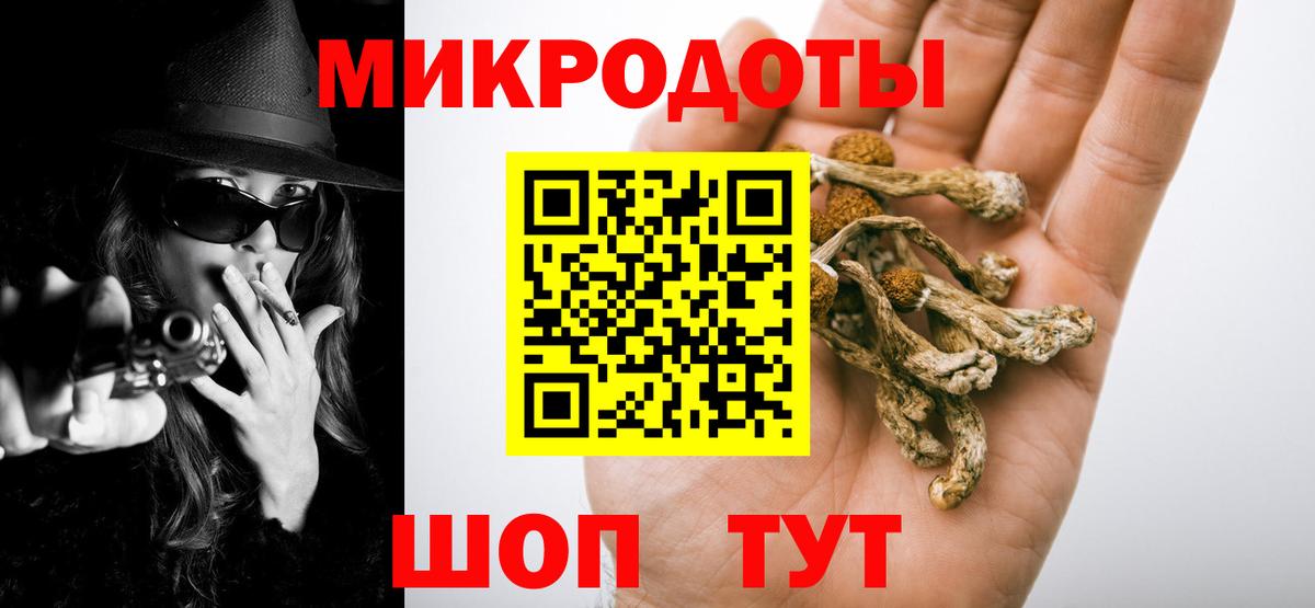 Псилоцибиновые грибы Cubensis  Галлюциногенные грибы Psilocybe  Буйнакск  Вход с VPN 