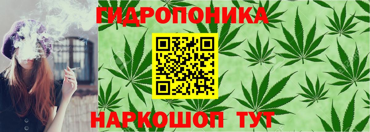 Конопля MAZAR  Каннабис SATIVA & INDICA  Вход с VPN  Буйнакск 